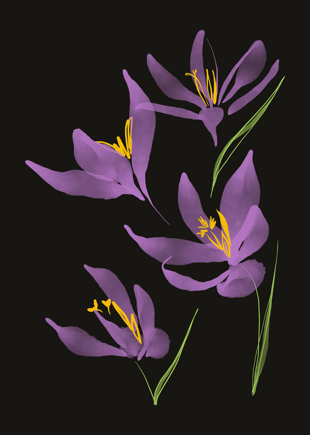 Crocus - FLORA editions Art Prints & Cards for Flower Lovers by Catherine Toews - Giclée fine art print on archival paper