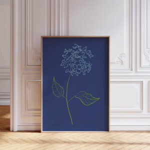Hydrangea - FLORA editions Art Prints & Cards for Flower Lovers by Catherine Toews - Giclée fine art print on archival paper