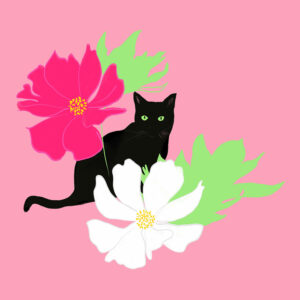 Black cat with cosmos flowers - FLORA editions Art Prints & Cards for Flower Lovers by Catherine Toews - Giclée fine art print on archival paper
