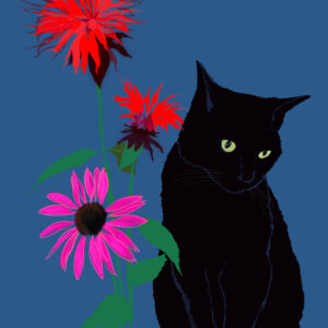 Black cat with wildflowers - FLORA editions Art Prints & Cards for Flower Lovers by Catherine Toews - Giclée fine art print on archival paper