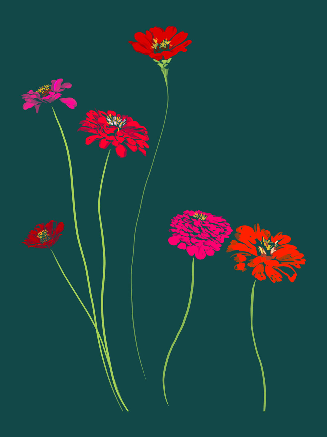 Zinnias - FLORA editions Art Prints & Cards for Flower Lovers by Catherine Toews - Giclée fine art print on archival paper
